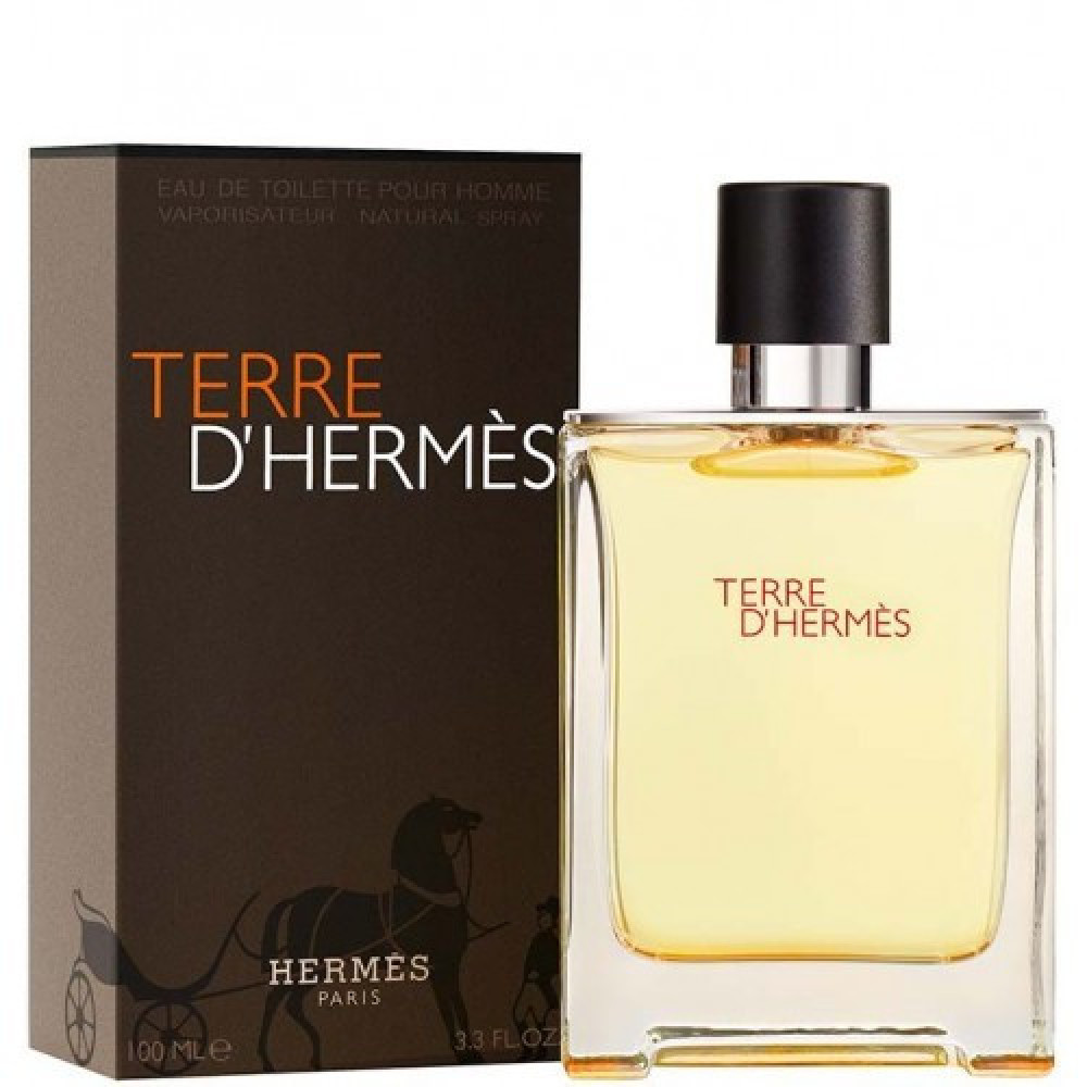 Туалетная вода для мужчин Hermes Terre d'Hermes 100 мл